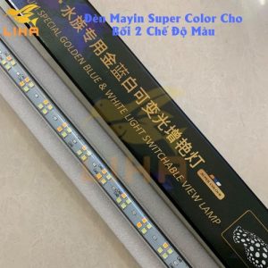 Mayin Super Colour Bối