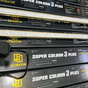 MAYIN Super Colour Plus thế hệ 3