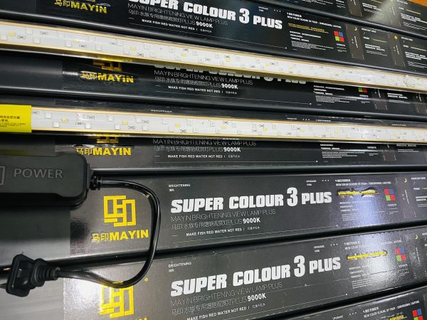 MAYIN Super Colour Plus thế hệ 3