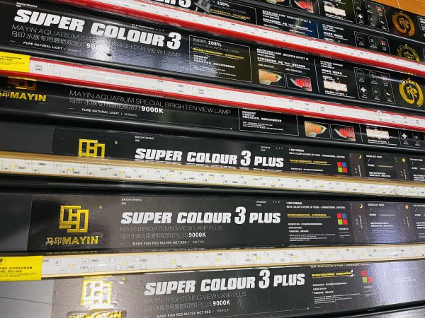 MAYIN Super Colour Plus thế hệ 3